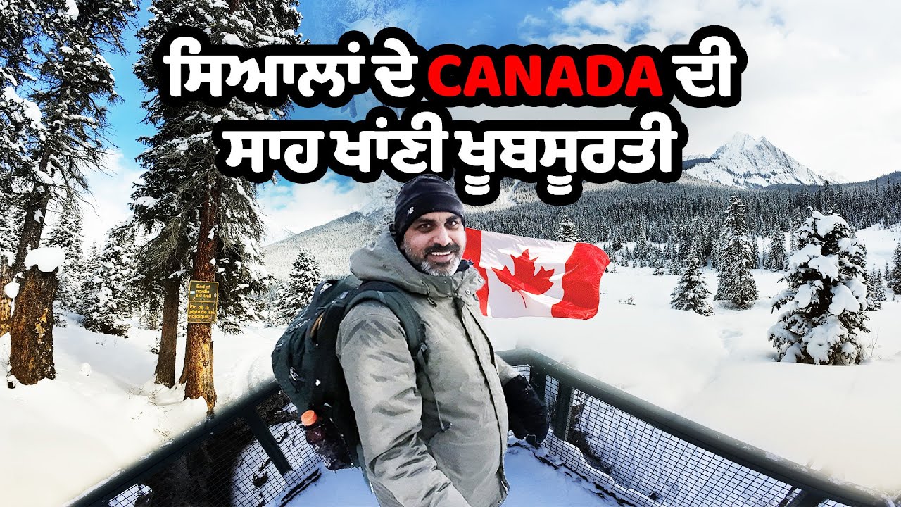 ਸਿਆਲਾਂ ਚ ਆ ਕੇ ਆਹ ਯਾਦਾਂ ਖੱਟੀਆਂ । ਜਾਨ ਕੱਢ ਸਫ਼ਰ ਸੀ ਵੈਸੇ । Canada Winter Hike | Ohi Saabi Vlog