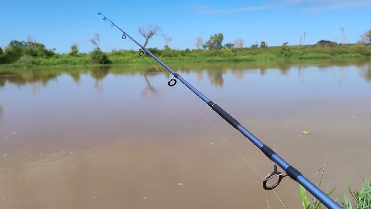 Rio Mogi Guaçu