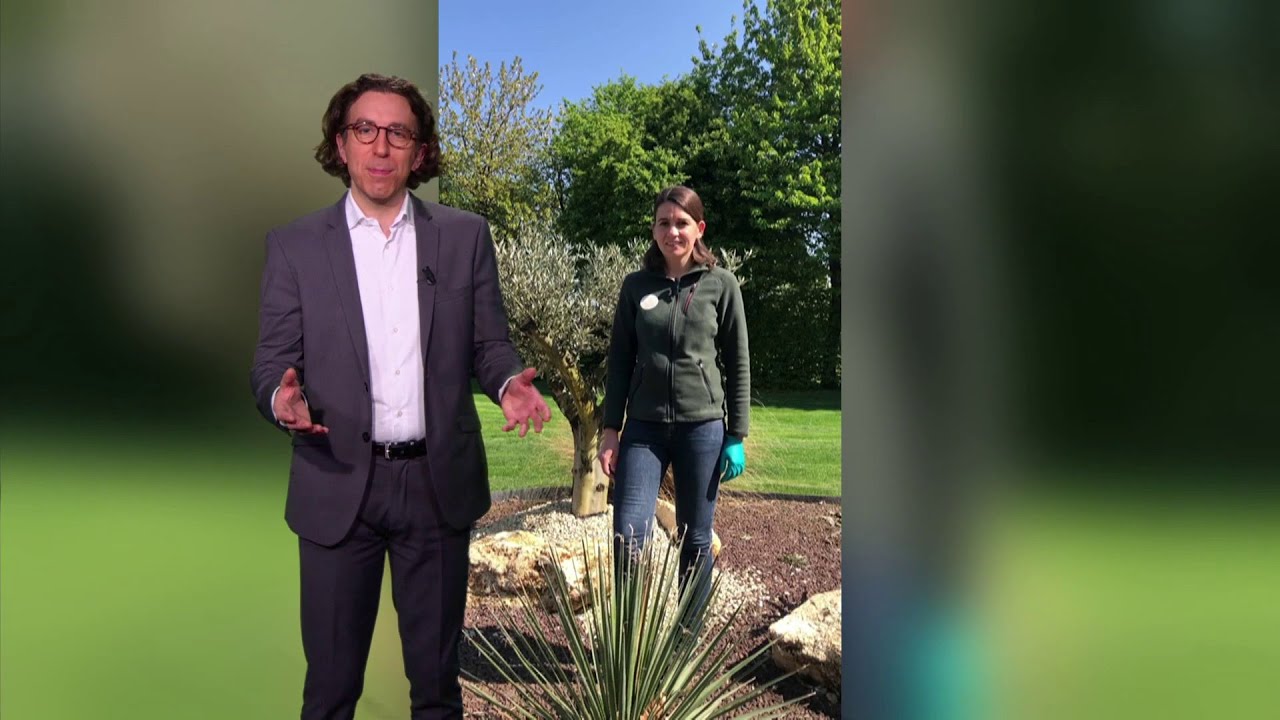 1er disque d'or de l'histoire & conseil jardinage - La m&eacute;t&eacute;o de Colas du mardi 10 f&eacute;vrier 2026