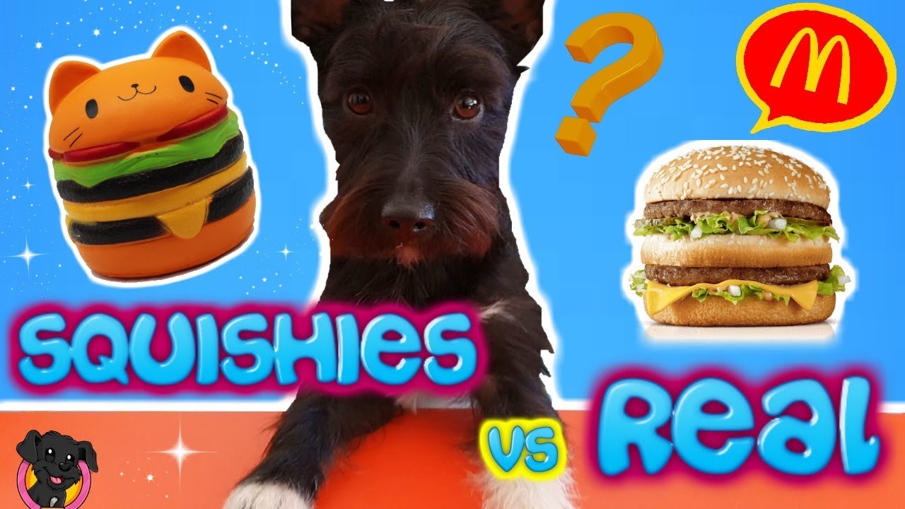 COMIDA REAL vs COMIDA SQUISHY / Retos Lana / Squishy Vs Real Food Challenge!