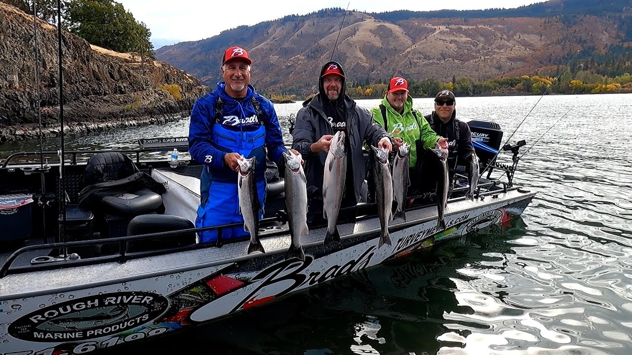 Columbia River Coho