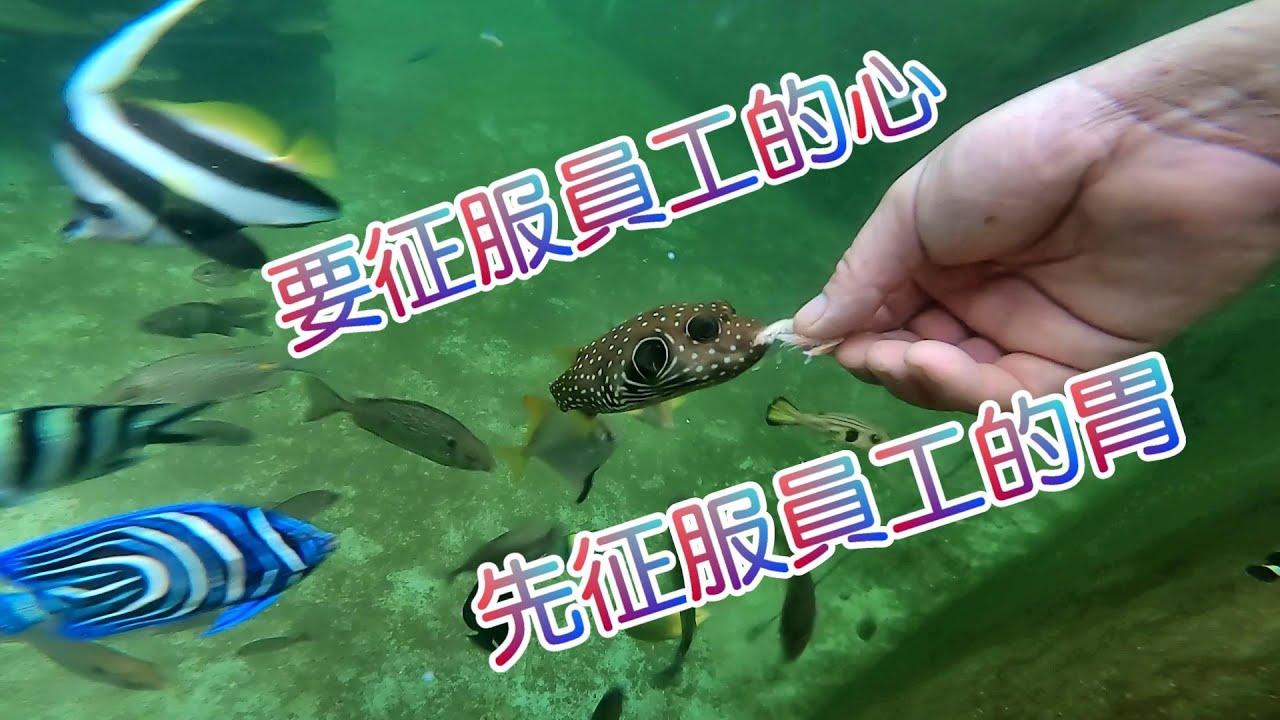 【手餵遊樂園】花美池進食中