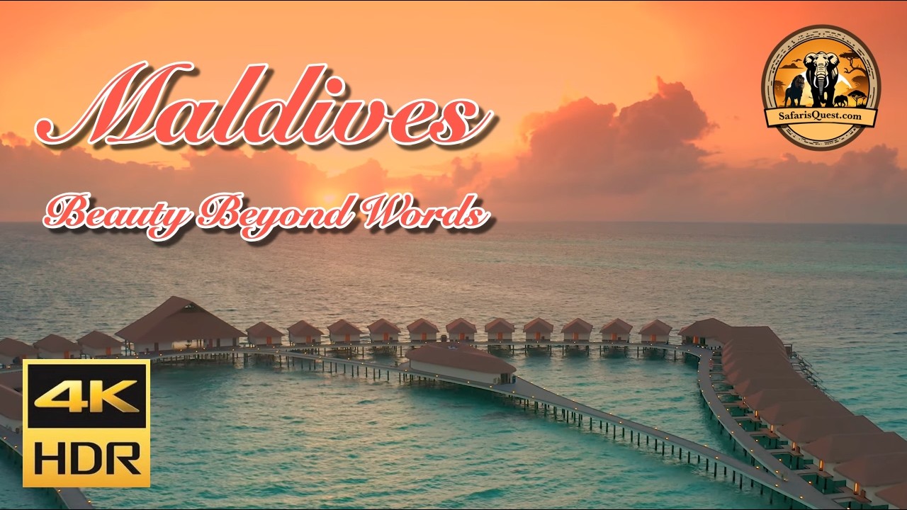 Maldives: Beauty Beyond Words | The Paradise You Have to See to Believe | #4khdr #scenicrelaxation