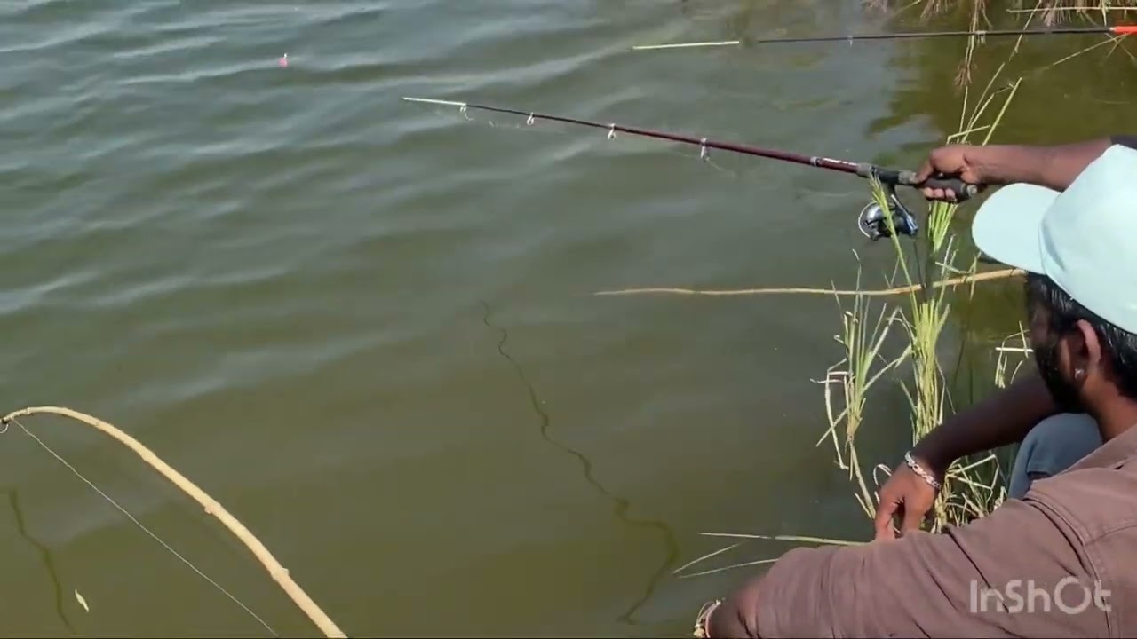 Cc Kendai Meen And Viraal Meen Vettai 🎣🐠