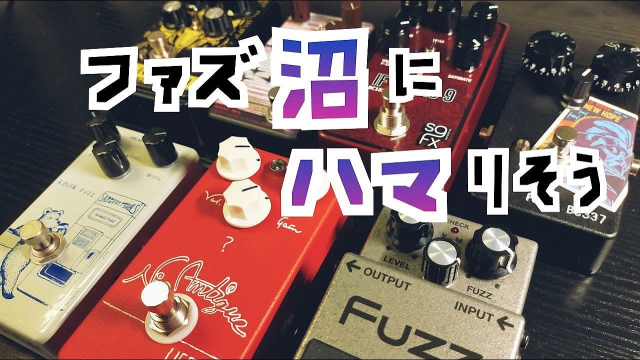 ファズ沼にハマりかけている男の動画