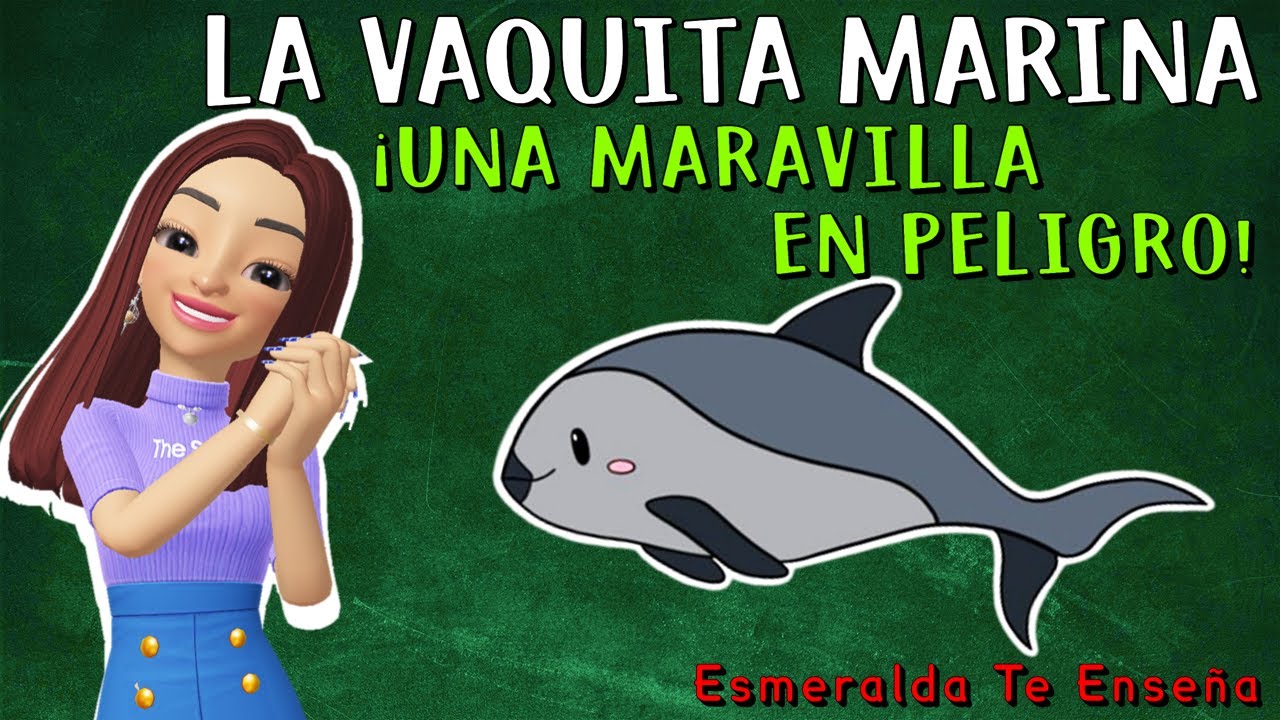 🐬La Vaquita Marina: Una Especie en Peligro de Extinción❌