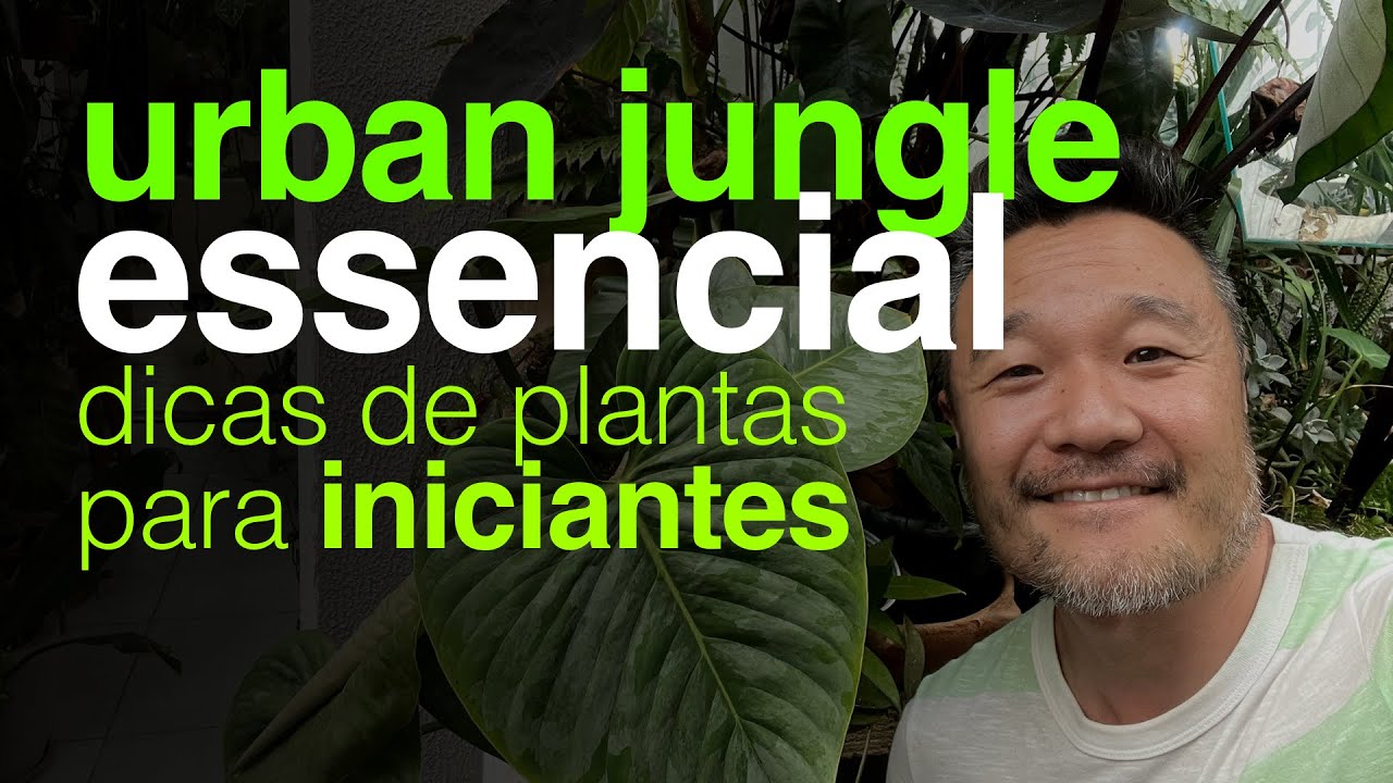 Urban Jungle Essencial - Dicas de Plantas para Iniciantes | Jardineiros Urbanos por Flay