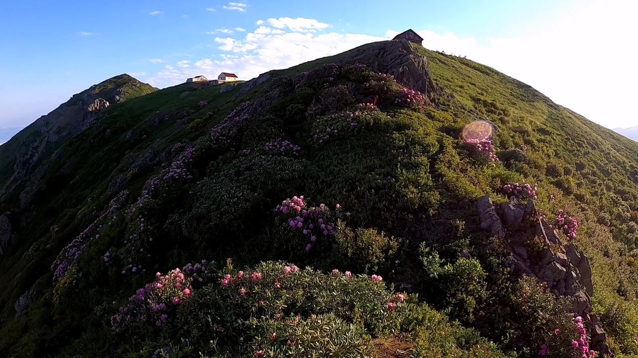 Artvin /Arhavi Nopapen Yaylası , Sırt yaylası