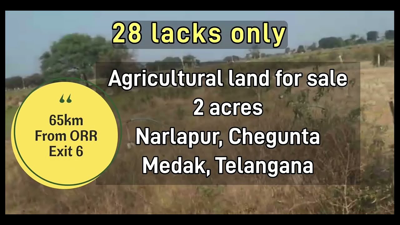 Agricultural Land for Sale | 2 Acres | Ramayampet | Chegunta | Telangana | Low Budget