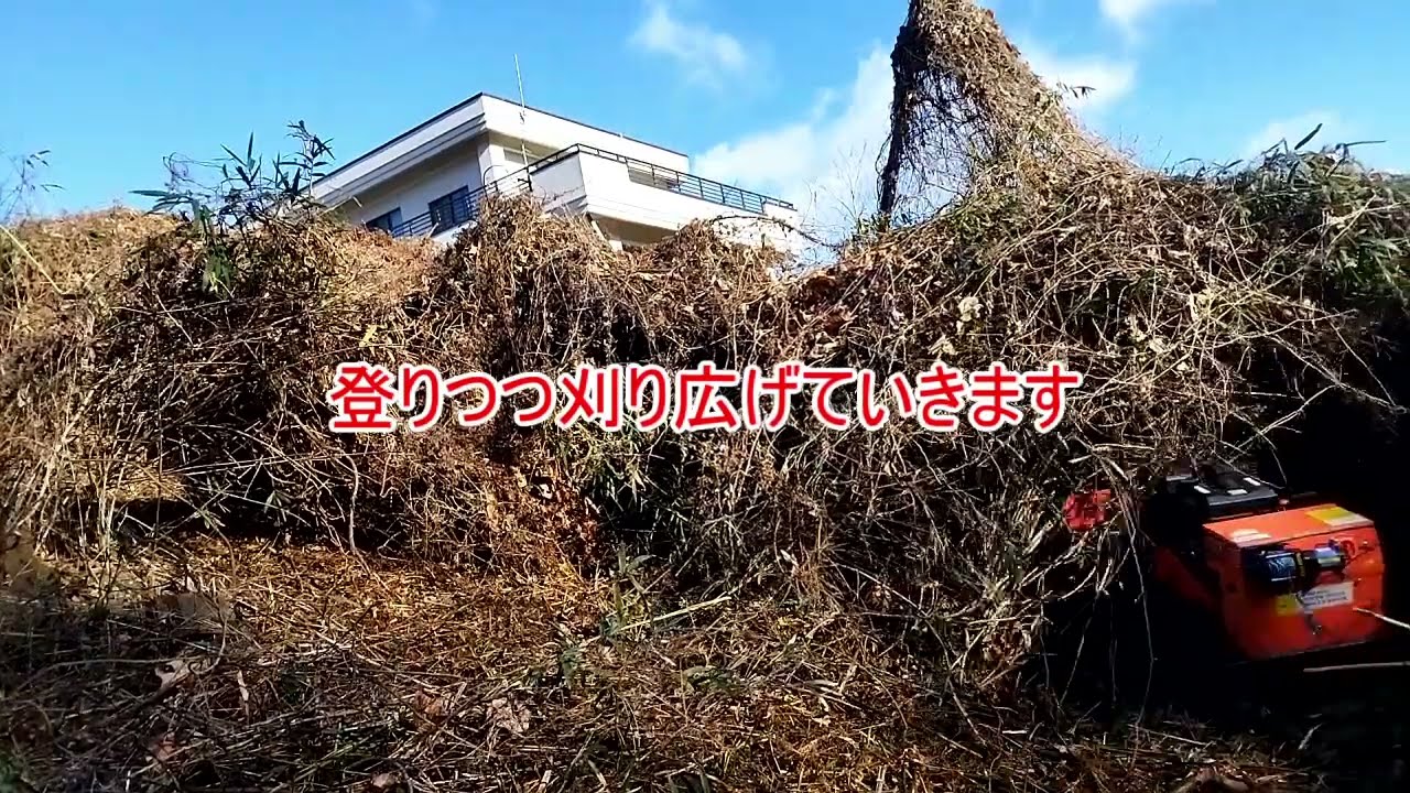 [農家（砕）]　笹・葛・急斜面に立ち向かえるか？！　ラジコン草刈り機君　イキナリ最悪コンディションな斜面に投入！。