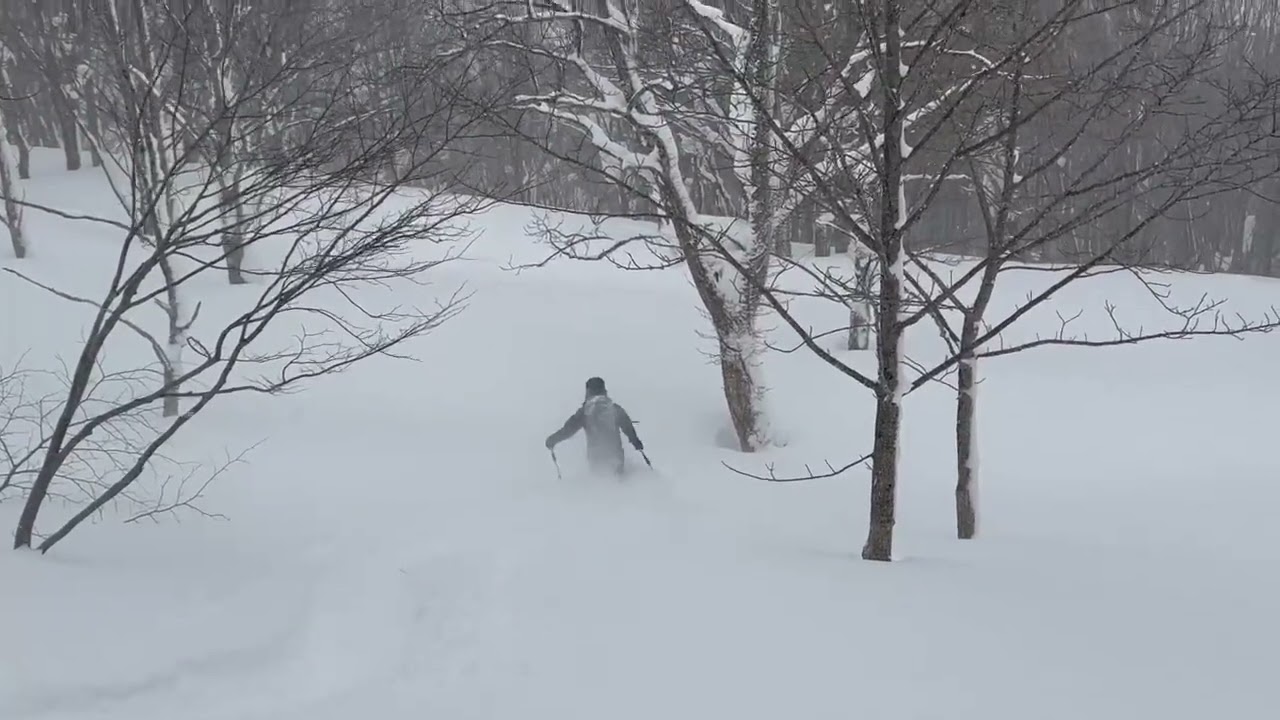 月山山麓で山スキー