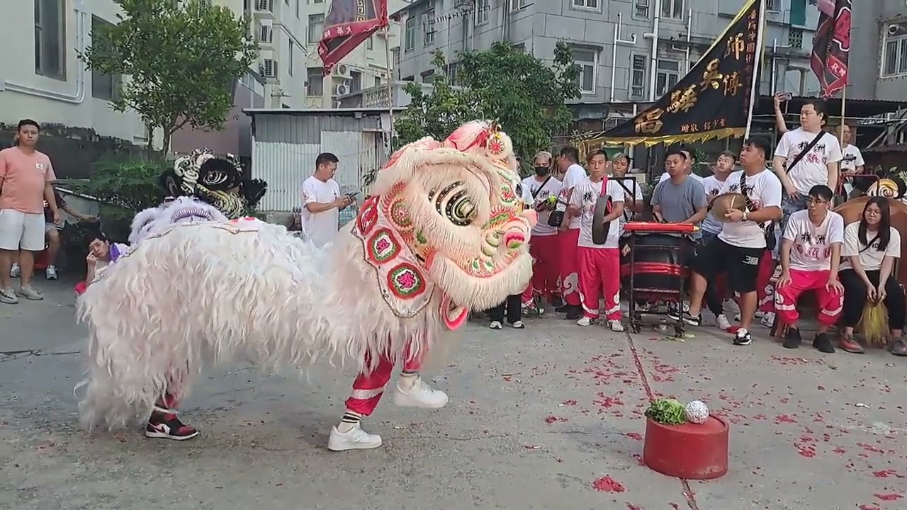 2023.04.30 橫洲西頭圍居民代表就職典禮 橫洲西頭圍青年團 醒獅表演 三星耀明珠青陣