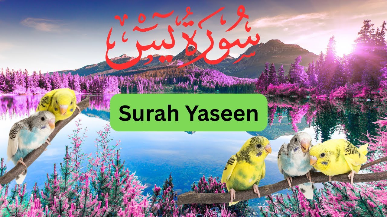 Surah Yaseen with Urdu Translation | Quran Tilawat for Peace & Barakah #surahyaseen