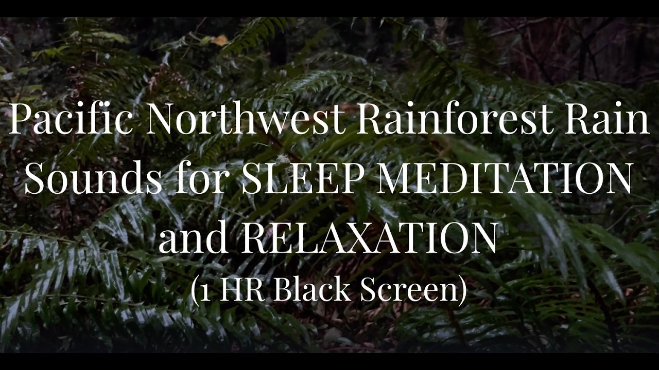 🌲🌧️Pacific Northwest Rainforest Rain Sounds for SLEEP, RELAXATION and MEDITATION (1 HR Black Screen)