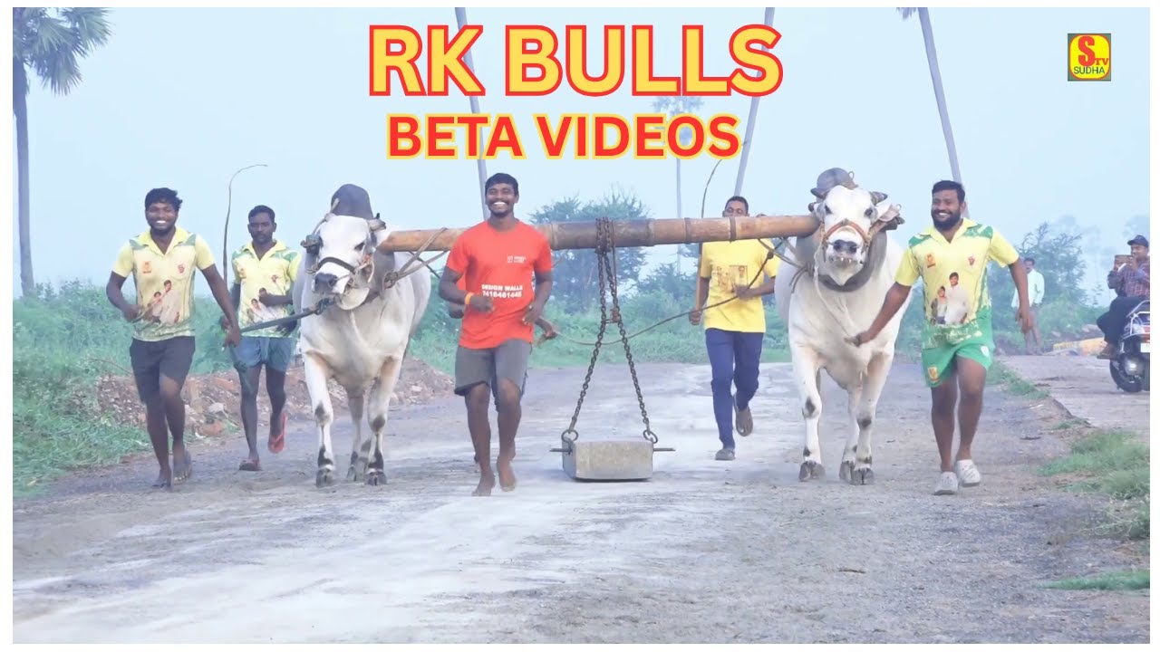 RK BULLS || BETA VIDEO ||