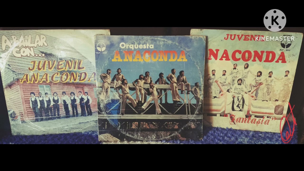 Orq. Anaconda Salomé (Audio Vinyl)