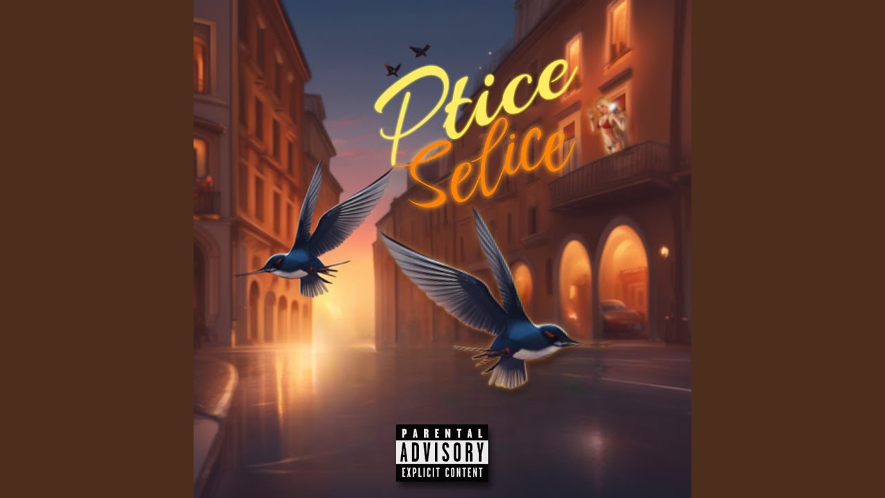 Ptice Selice
