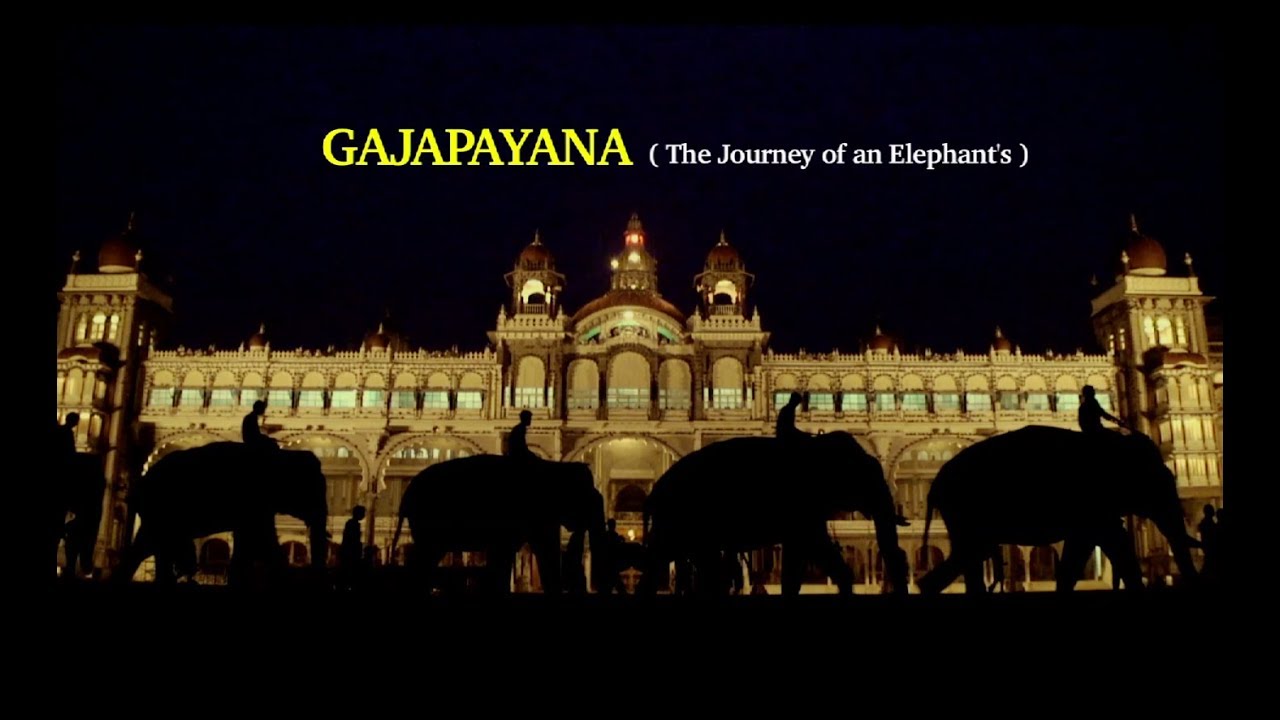 Gajapayana - The journey of a Dasara Elephant's I Elephants I Mysuru Palace