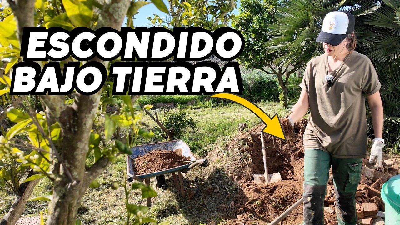 Bajo el Everest de mi finca&hellip; no esperaba encontrar esto 🤷🏽&zwj;♀️ Vlog279
