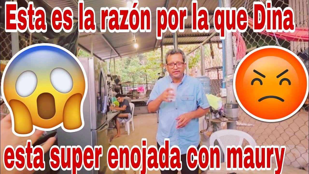 Esta es la razón por la que Dina esta super enojada😡 