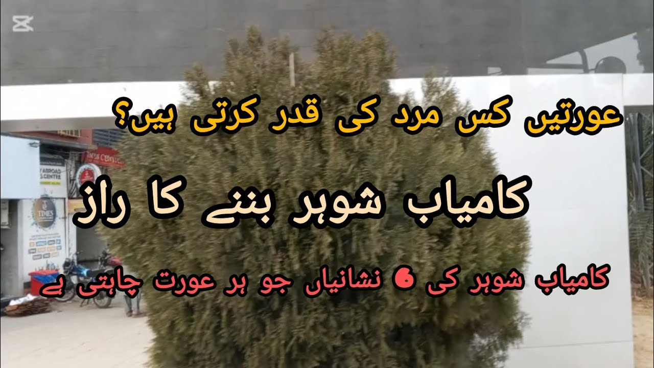 عورتیں کس مرد کی قدر کرتی ہیں؟ کامیاب ازدواجی زندگی کے سنہرے اصول