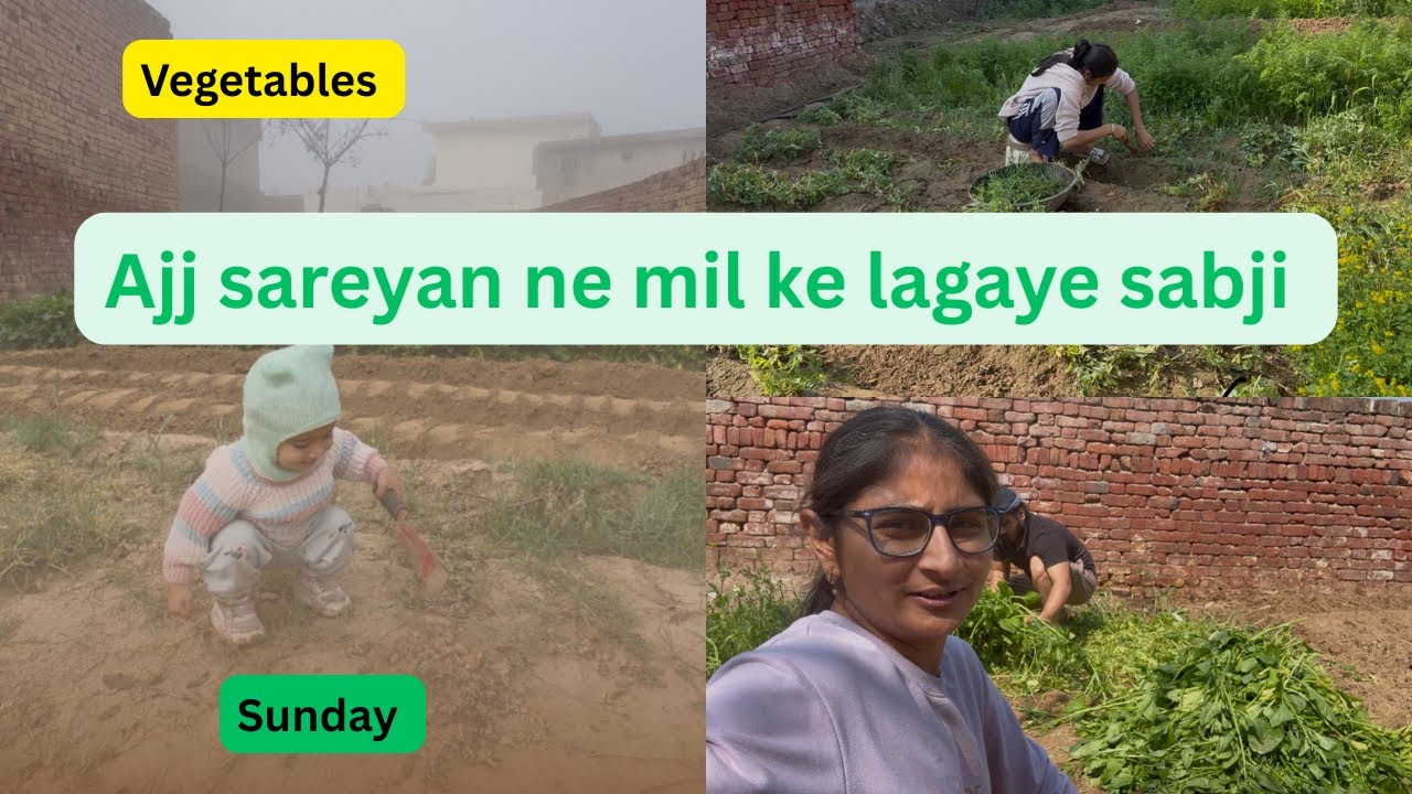 My first vlog ,ajj sareya ne milke lagaye sabji 🥒🍈🥕🫛 Raman chahal #villagelife #villagevlog 