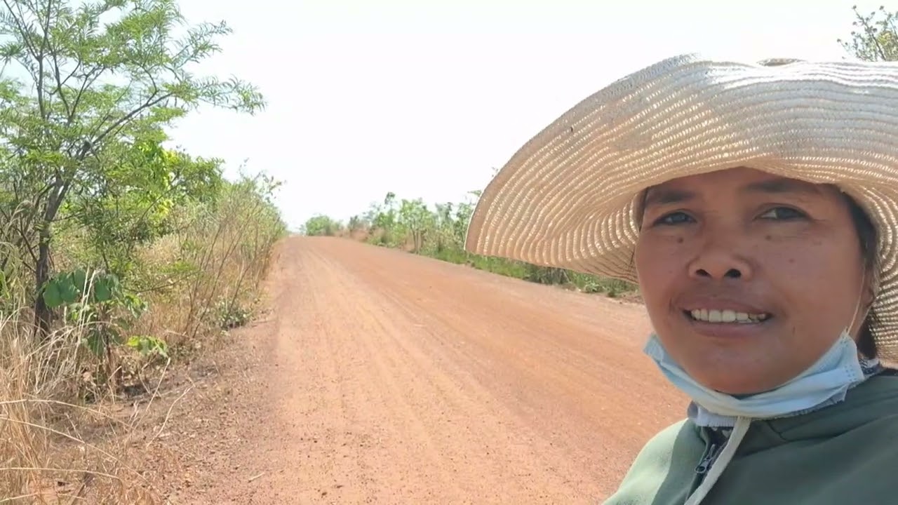 នាំគ្នាមករាវលៀសបានស្លឹកជ្រេសវិញ