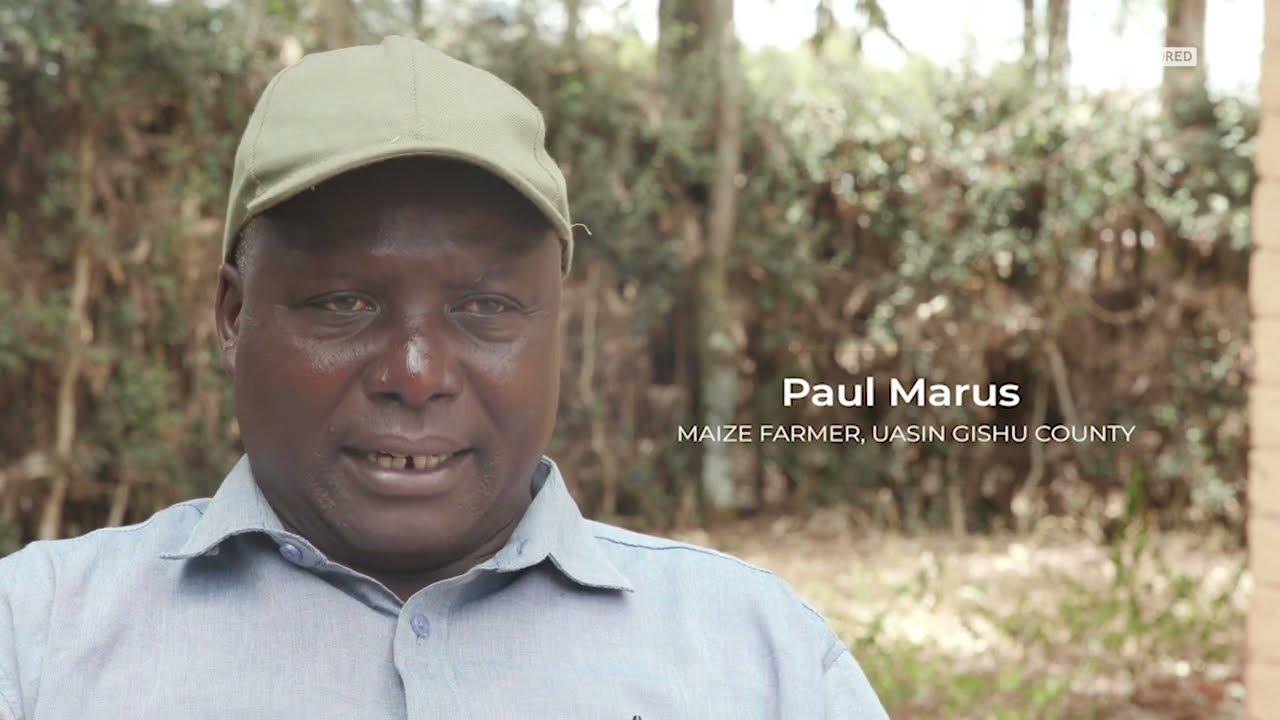 KURA CORN GAME: Maize and Kenyan Elections