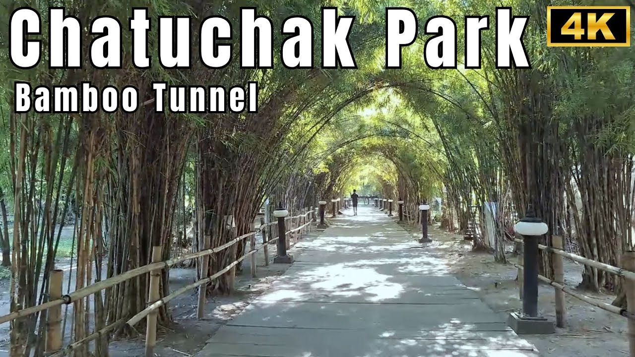 เพิ่งรู้เลยว่าสวนจตุจักรมี “อุโมงไม้ไผ่” ซ่อนอยู่ | Hidden Bamboo Tunnel at Chatuchak Park 4K