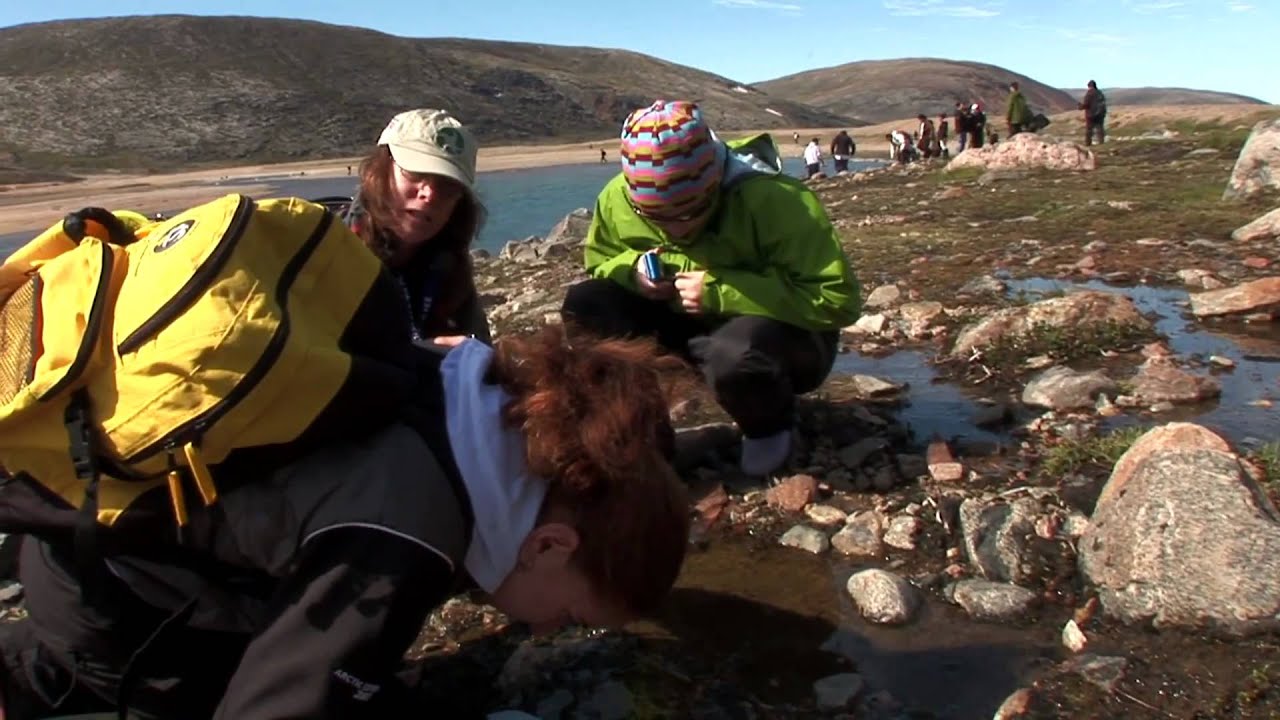 Botany in the Arctic