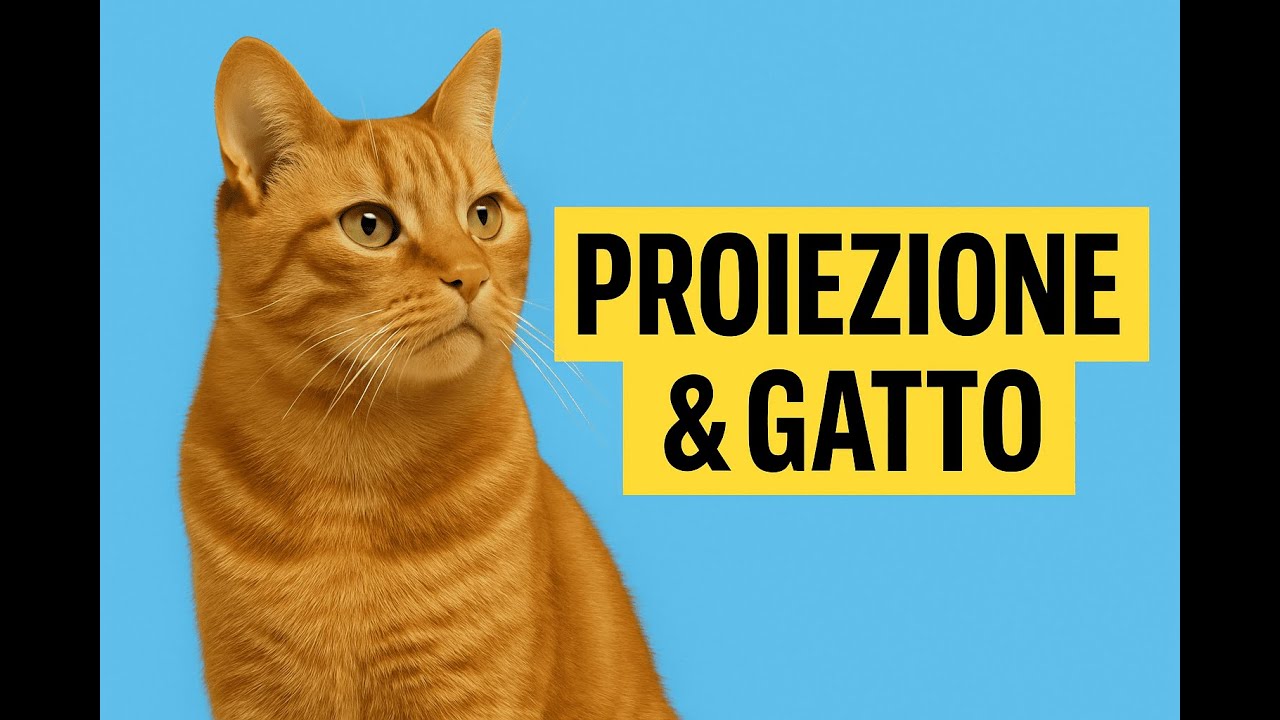 Lasci la luce accesa per il tuo gatto?