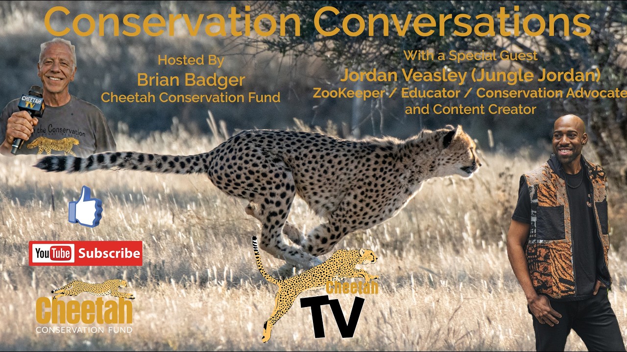 Inspiring Conservation with Jungle Jordan: From Zoos to Future Heroes