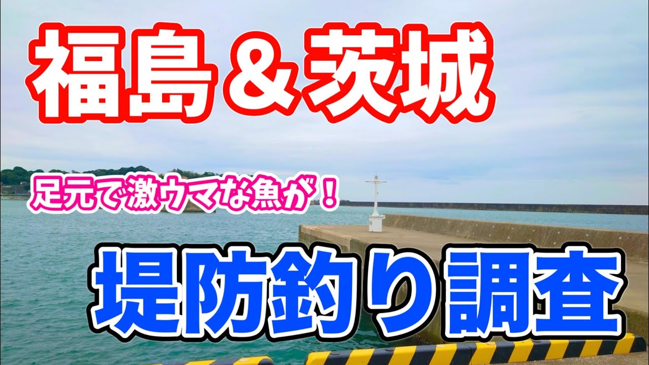 福島＆茨城釣行 堤防釣り調査 手軽に足元で狙えるこの釣りがやっぱり面白い！