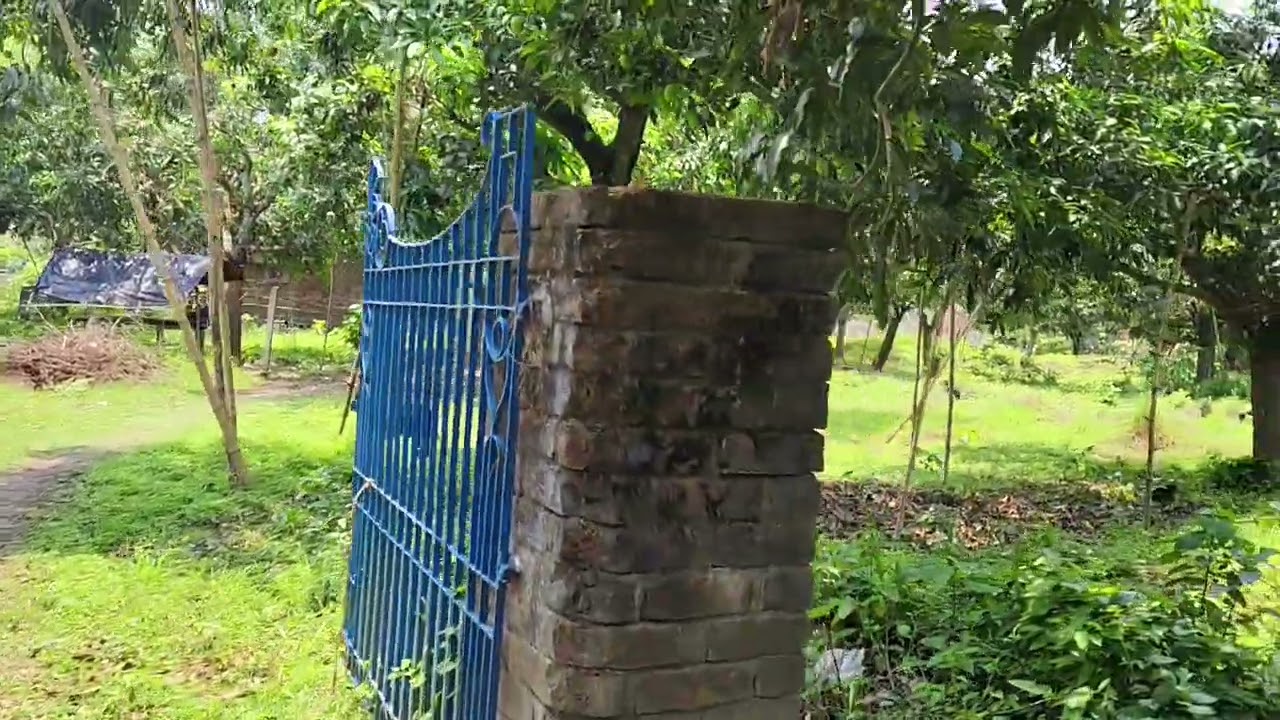 35 katha land sale in Balagarh,  Bandel to Kalan, The next station after Jirat is Balagarh.