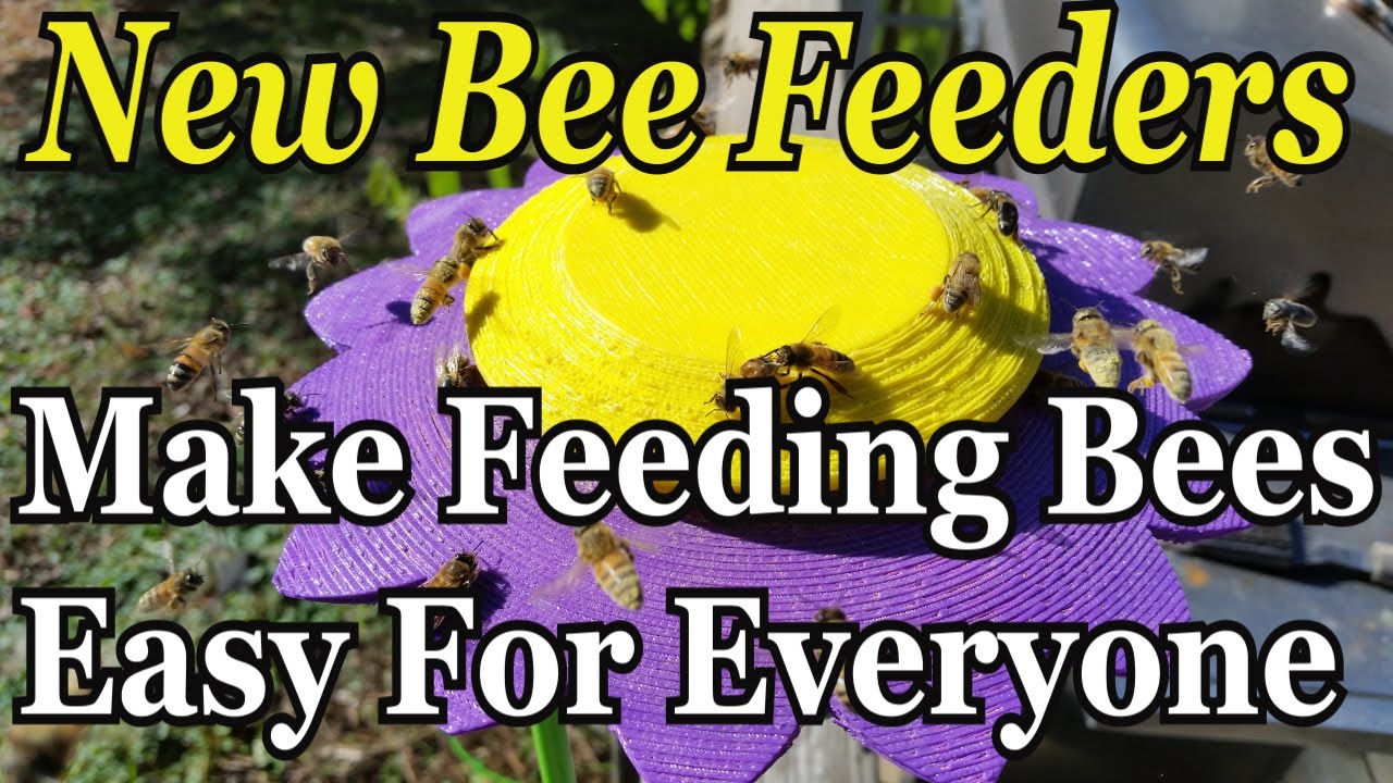 New Bee Feeders Make Feeding Bees Easy For Everyone