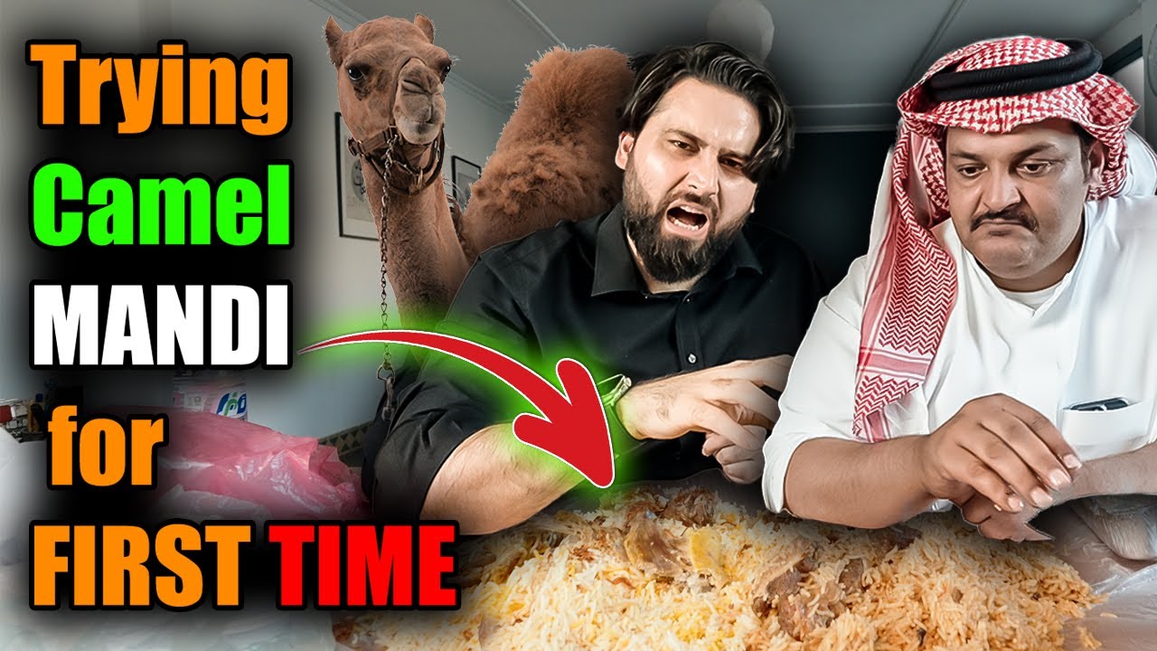 Camel Mandi vs Mutton Mandi. which is better in Saudi Arabia Jeddah, Makkah and Madina