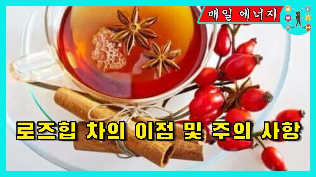 로즈힙 차의 이점 및 주의 사항