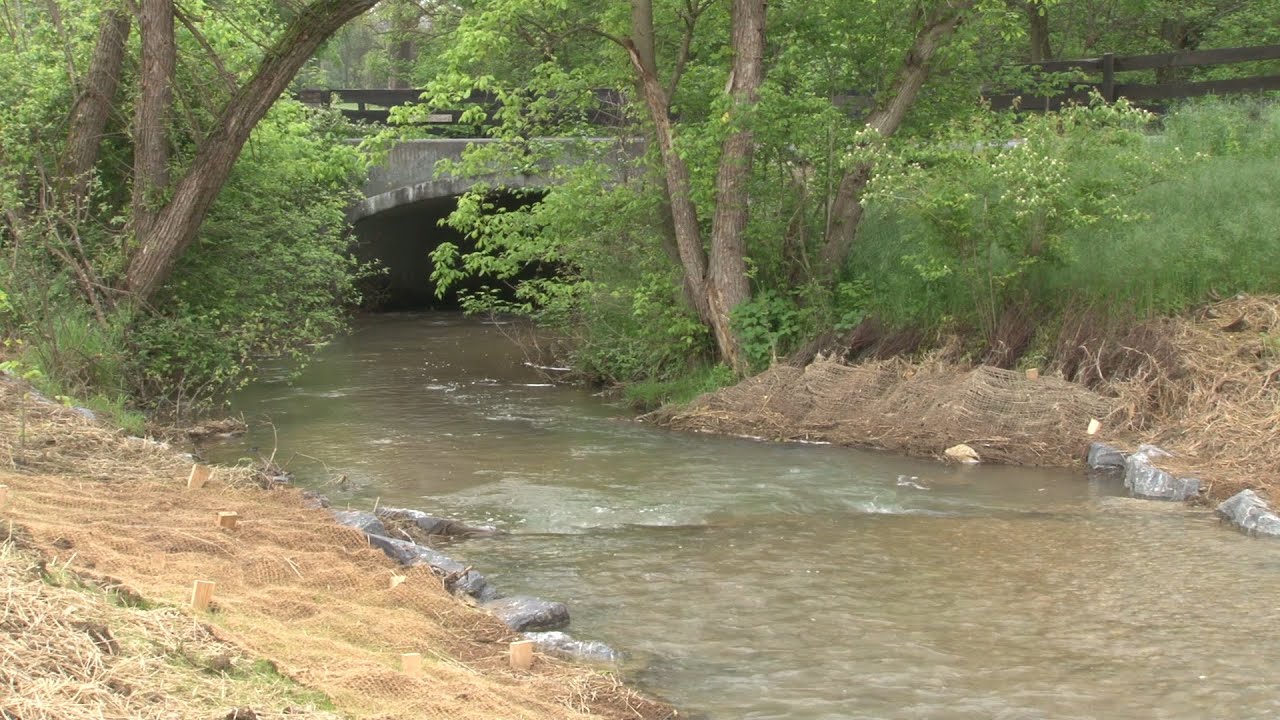 Tuscarora Creek Restoration Project Bypasses Century Old Dam (2016)