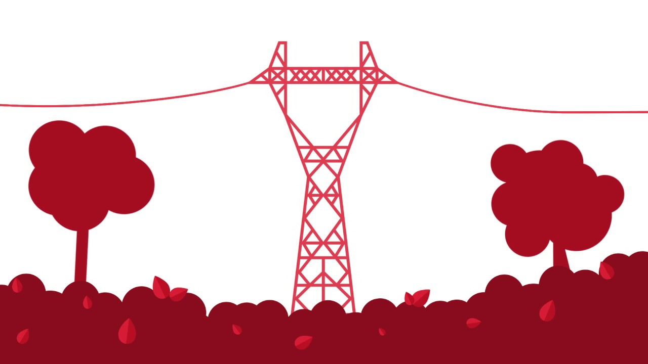Skąd bierze się energia elektryczna? (Raport Zrównoważonego Rozwoju PSE 2016)