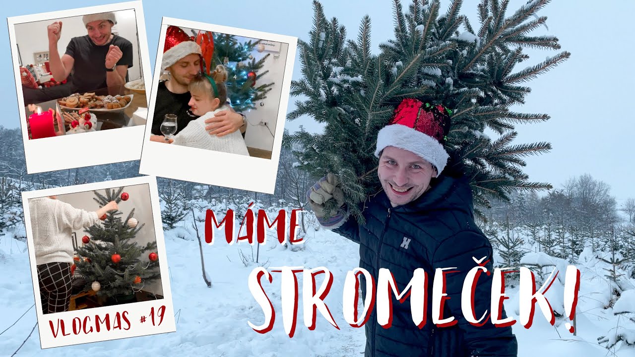 Zdobení stromečku 🎄 poslední adventní neděle ✨ | VLOGMAS #19