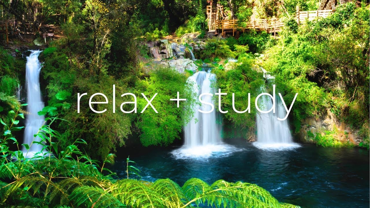 Relaxing Music to Study and Relieve Stress | 2 hours