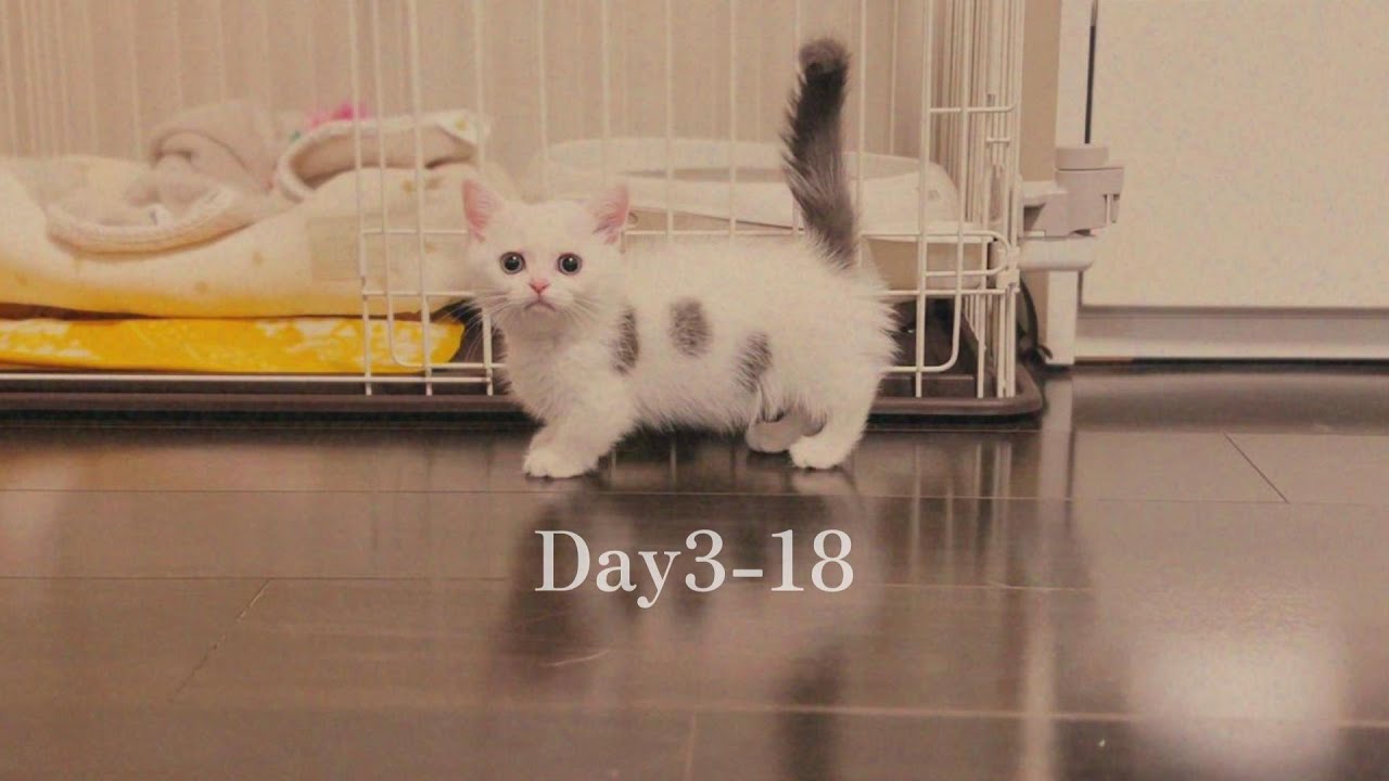 Day3-18