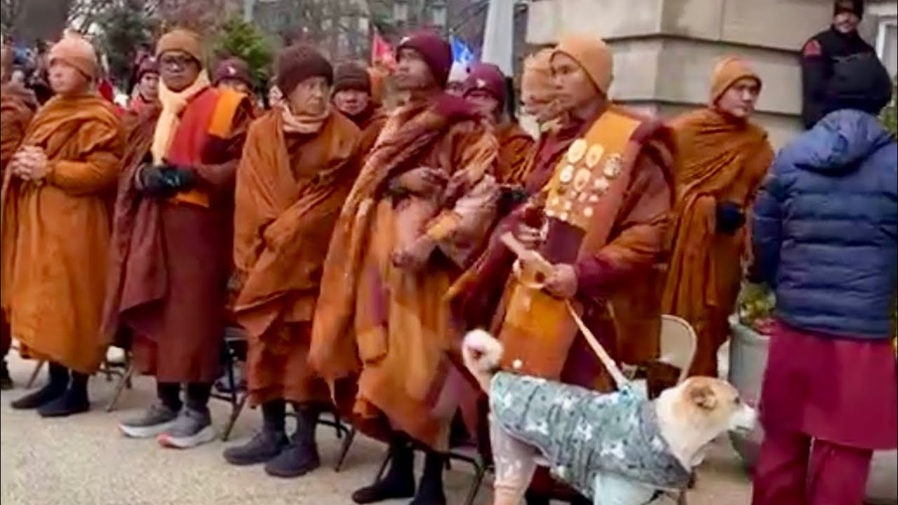 Walk for peace ☮️ day 91 at Dix Park Raleigh NC 🙏🏽🙏🏽🙏🏽💐#simplelifewithpengthong 