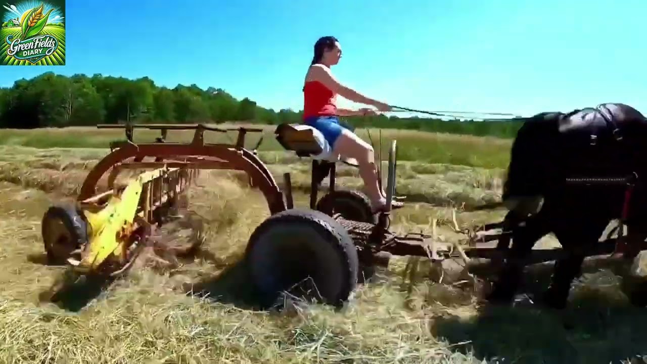Smart Agriculture No. 3 - America's 100-year-old harvesting technology