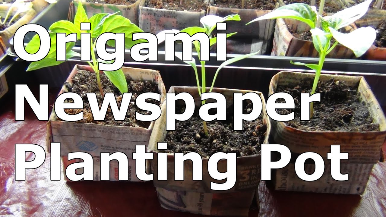 Origami Newspaper Pot