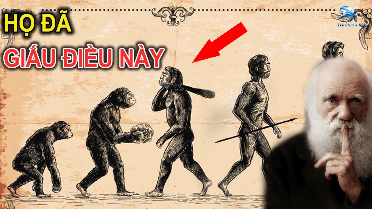 Những KẼ HỞ Trong Thuyết Tiến H&oacute;a Khiến N&oacute; L&agrave; SAI LẦM? | Thi&ecirc;n H&agrave; TV