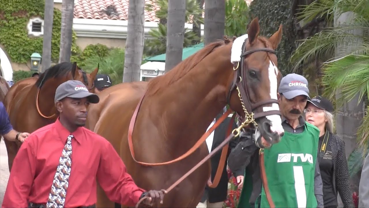 California Chrome romps in $1 million Pacific Classic