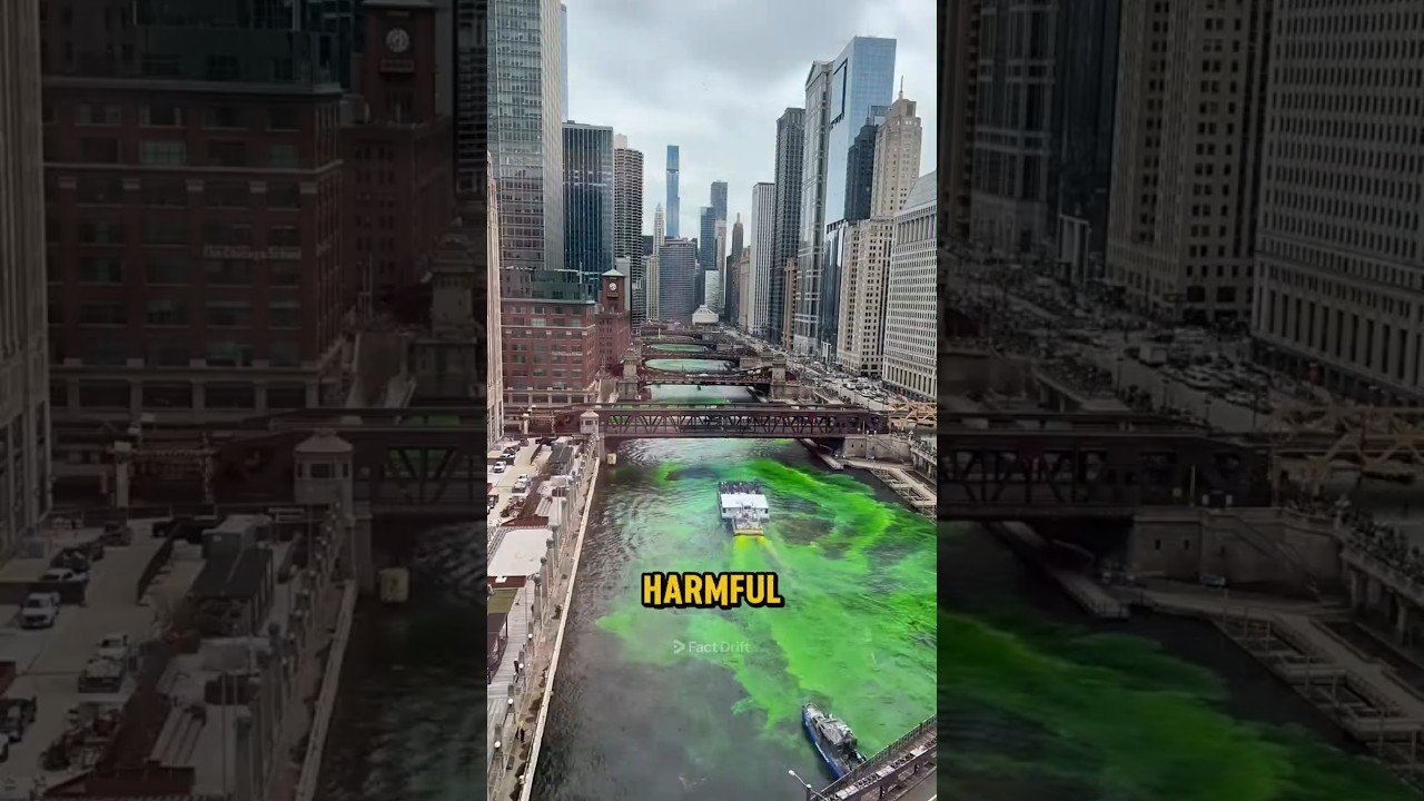 Почему река Чикаго становится ярко-зелёной?