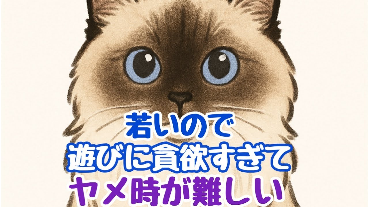 疲れていても遊ぶのでヤメ時のコントロールが必要