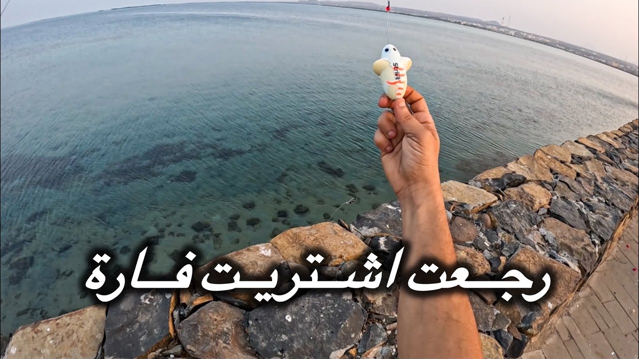 رجعت اشتريت فاره جديده عشان البياض